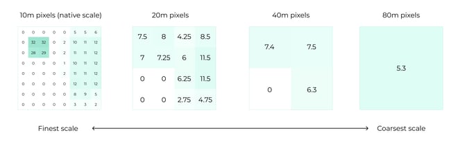 5 Scale - numeric