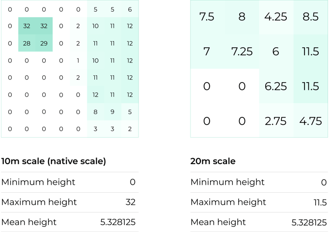 7 Canopy height